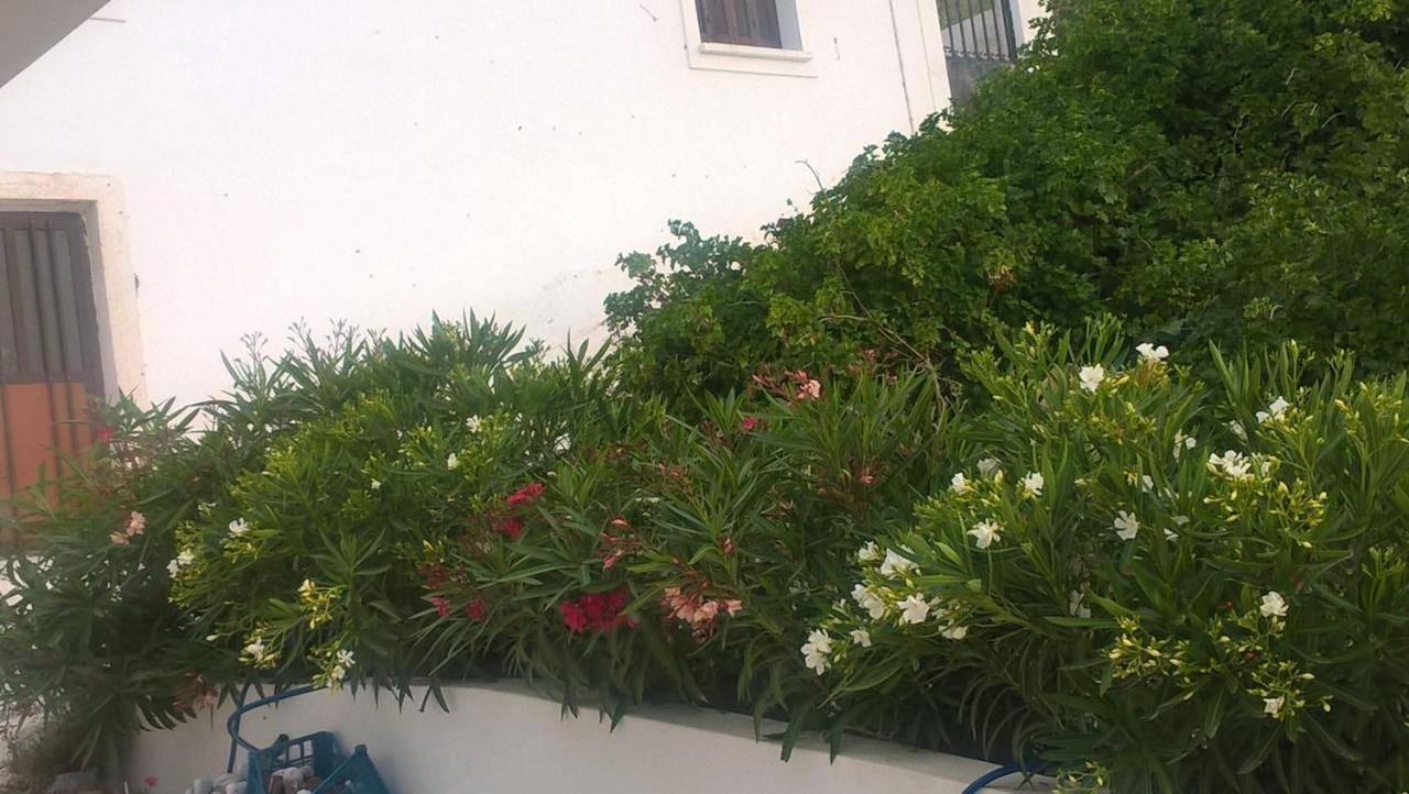 Appartamento Gyrouli 1 Pera Gyalos Esterno foto